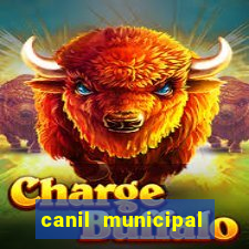 canil municipal porto alegre